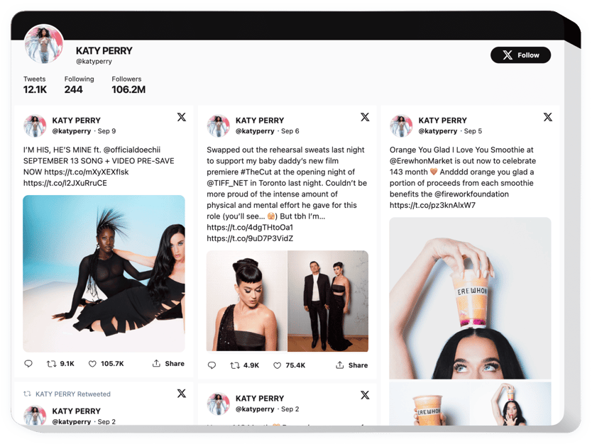 Twitter Feed widget for website